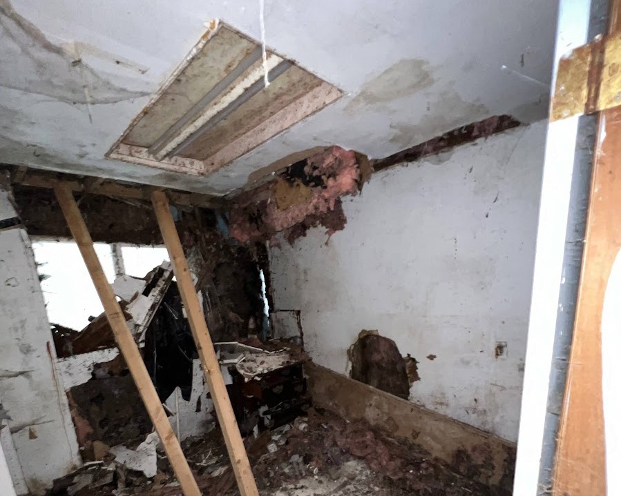A disaster home infested with mold needed serious structural and environmental renovations by Georgia Buys