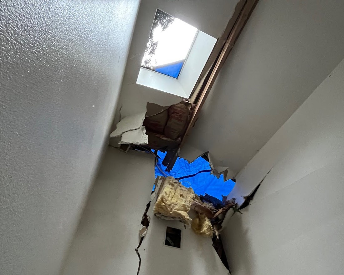 A disaster home had a tree fall through the roof during the bomb cyclone of 2024. Georgia Buys was able to step in and help the homeowner.