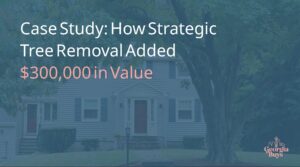 Case Study: How Strategic Tree Removal Added $300,000 in Value