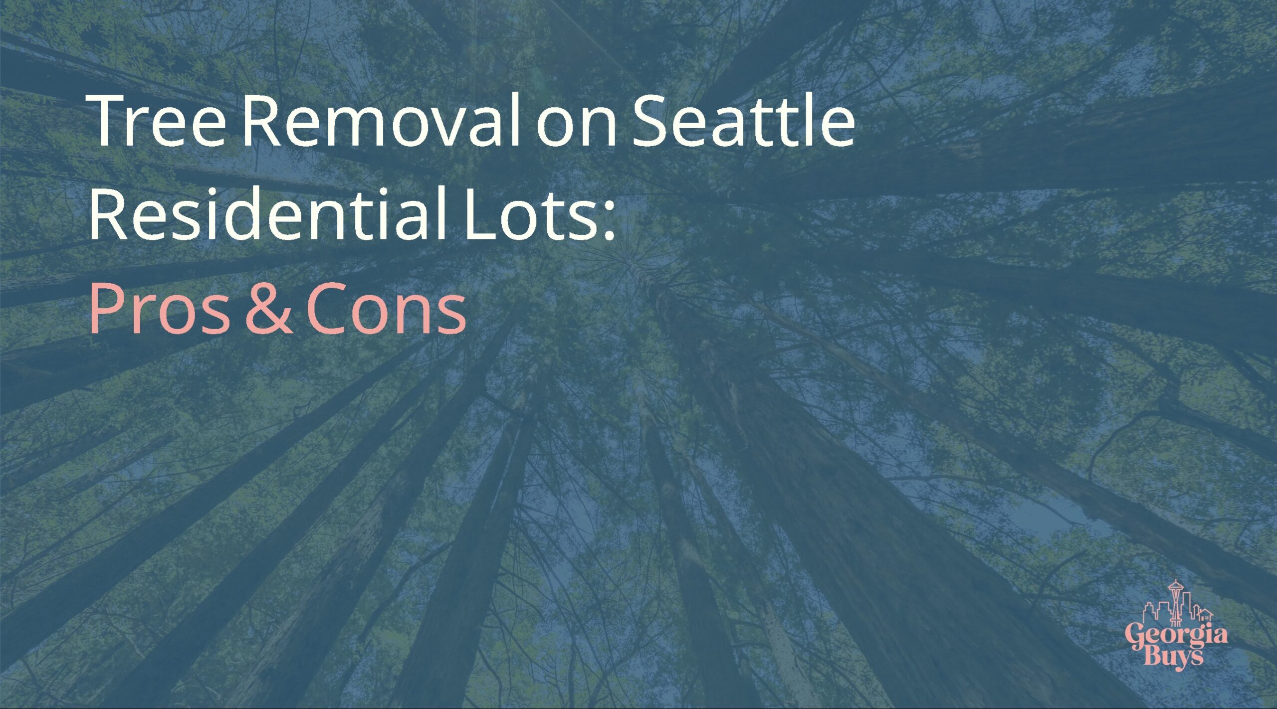 Pros and Cons of Tree Removal on Residential Lots